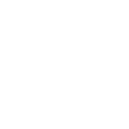 Logs